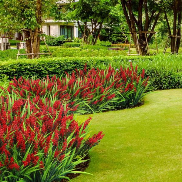 Ouddy Decor 24 Bundles Artificial Flowers for Outdoors, Fake Lavender Flowers Monkey Grass Faux Plastic Plants Shrubs UV Resistant for Porch Garden Window Box Office Home Decorations, Mixed - Image 11