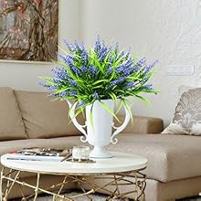 indoor flowers