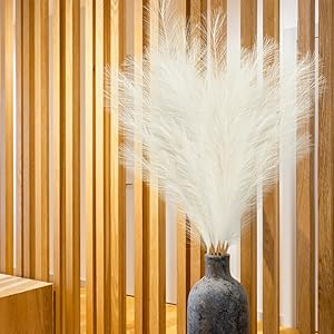 pampas decor