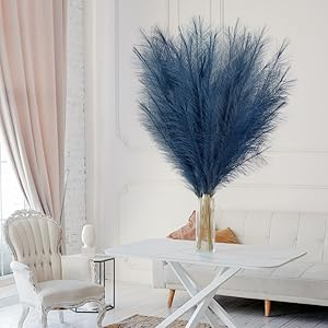 panpas decor