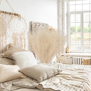 pampas decor