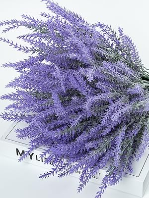 lavender flowers