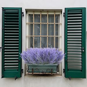 window box